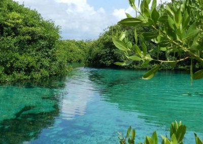 Buceo en cenotes casa cenote