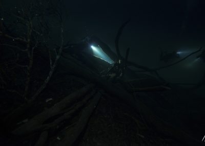Buceo en el cenote Angelita