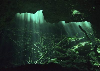 Cenote Diving Tajma Ha