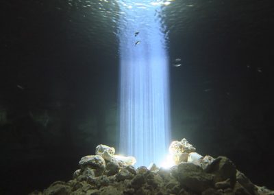 Buceo en cenote Tajma Ha